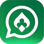 Introducer Gaming Australia Guide